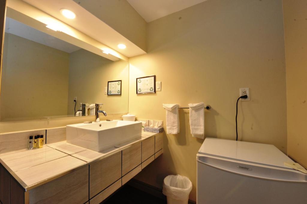 Koupelna v ubytování Hotel Le Voyageur