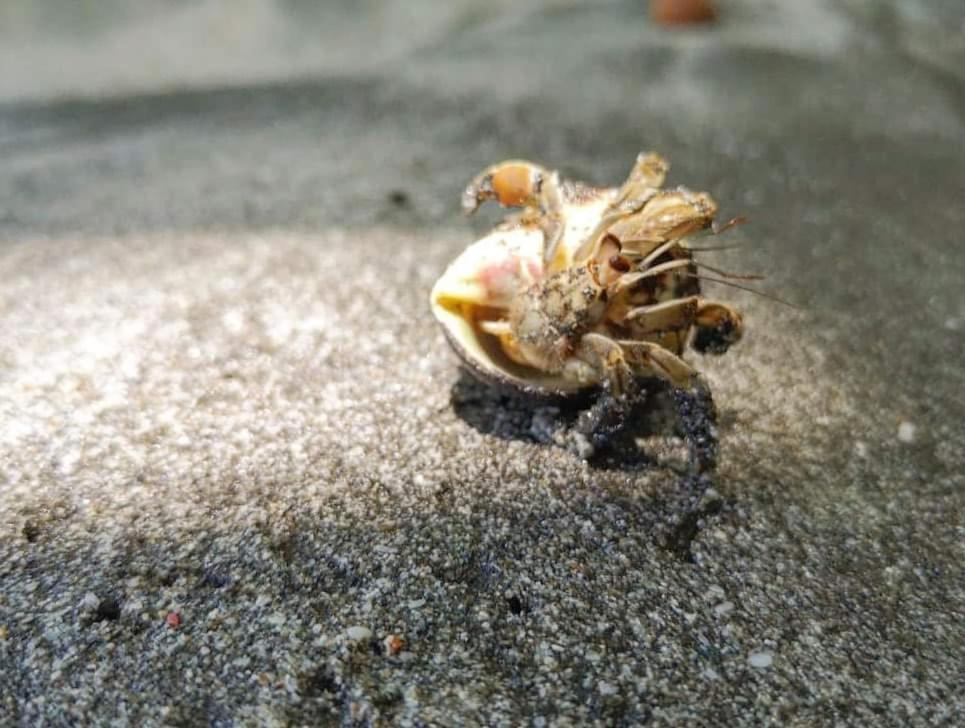 Fotografie z fotogalerie ubytování Claudia Villagge v destinaci Guanacaste