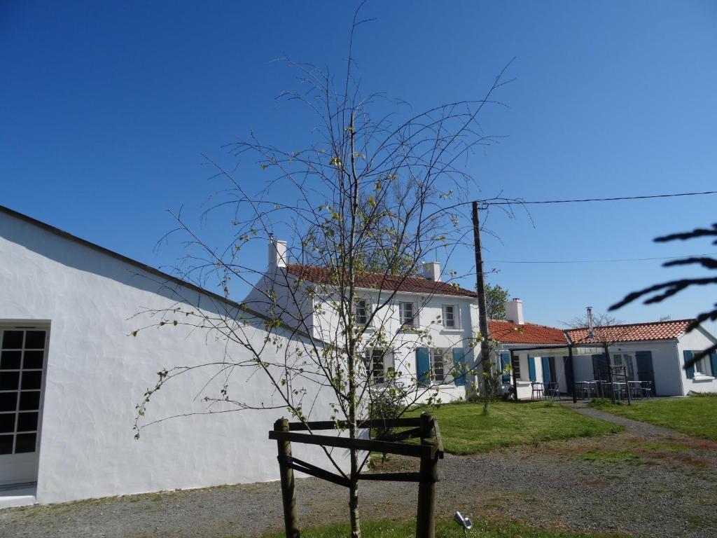 a tree in a pot in front of a house at Auberge BonBeauJoli in Saint-Jean-de-Monts