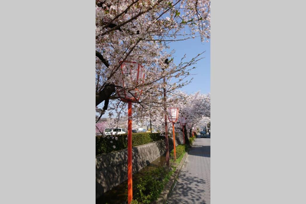 Fotografie z fotogalerie ubytování 東山清水 友庵 v Kjótu