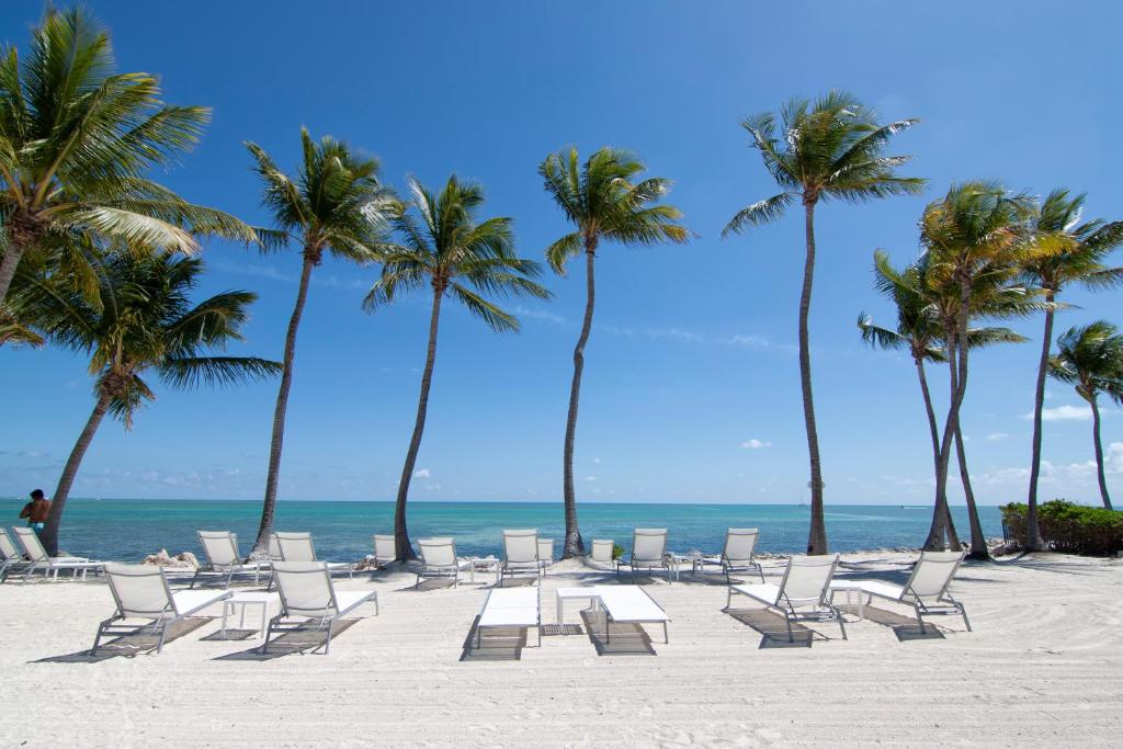 uma fila de cadeiras e palmeiras numa praia em Chesapeake Beach Resort em Islamorada