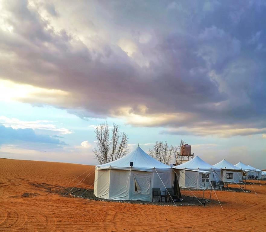 eine Reihe von Zelten inmitten einer Wüste in der Unterkunft Alsarmadi Desert Camp in Shāhiq