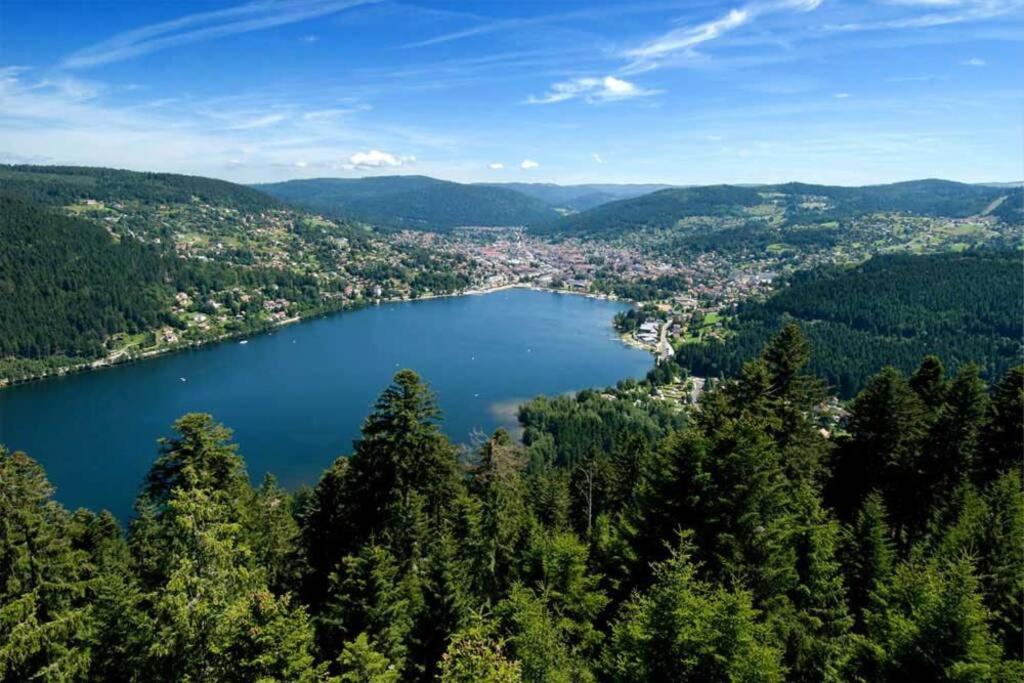 Příroda nedaleko apartmánu