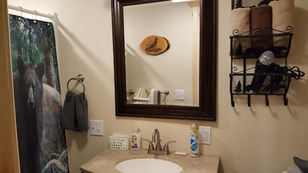 a bathroom with a sink and a mirror at Bear Cove Inn in Saint Ignace
