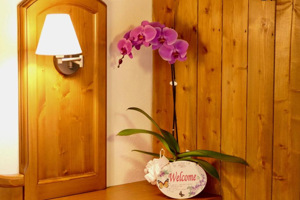Fotografie z fotogalerie ubytování Dream Hotel v destinaci Macugnaga