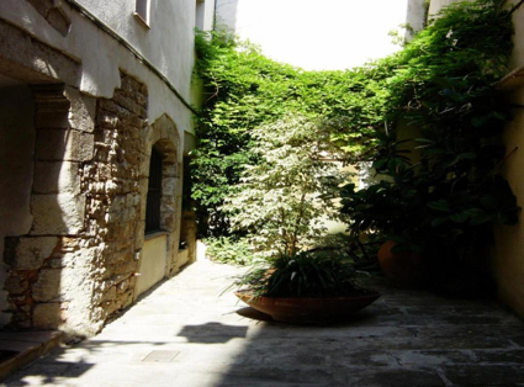 un vicolo con alcune piante in un edificio di PORTAL DEL ANGEL Barcelonastuff Apartments a Barcellona