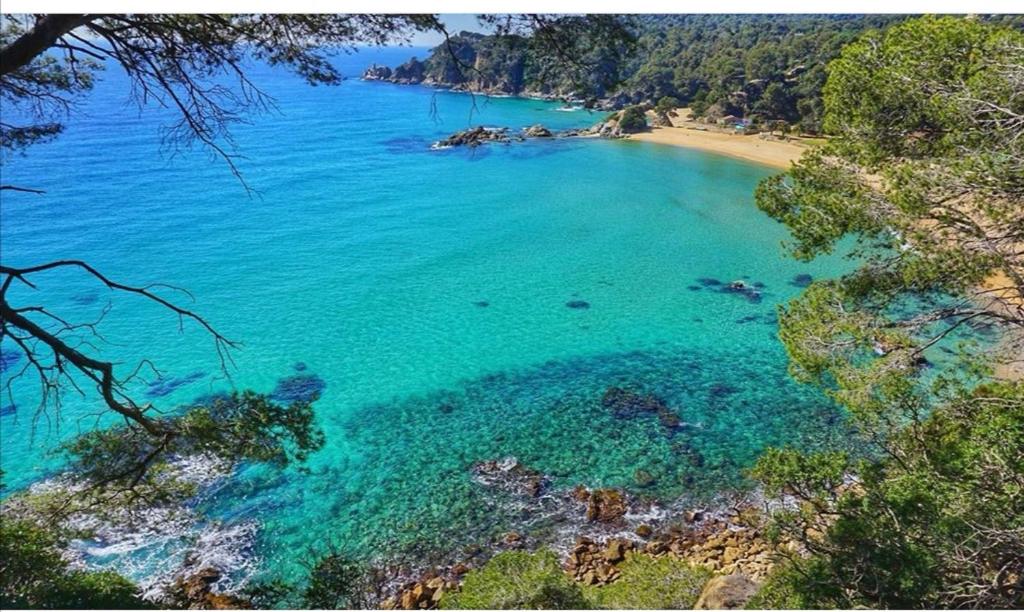 an aerial view of a beach with blue water at SeaHomes Vacations, BEACH&POOL, in Fenals Beach in Lloret de Mar