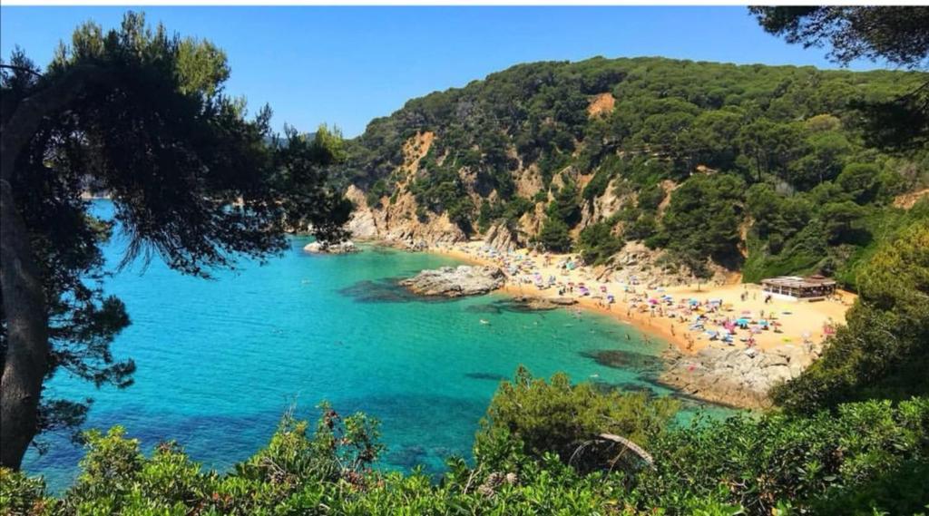 a beach with a bunch of umbrellas in the water at SeaHomes Vacations, BEACH&POOL, in Fenals Beach in Lloret de Mar