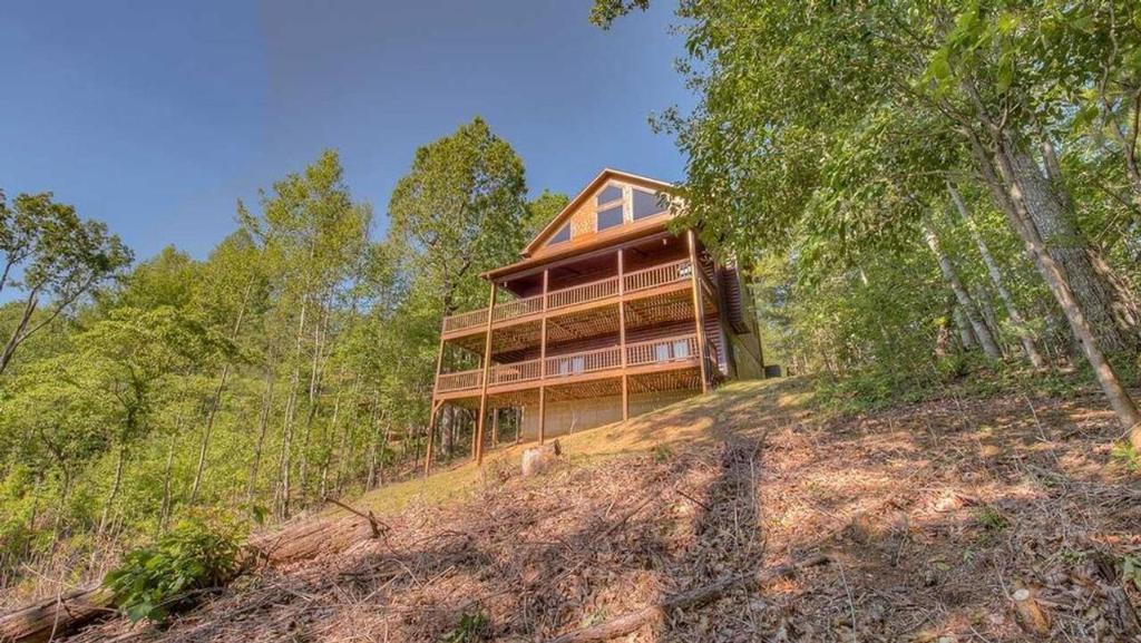 Dancing Bear, (updated prices 2024)