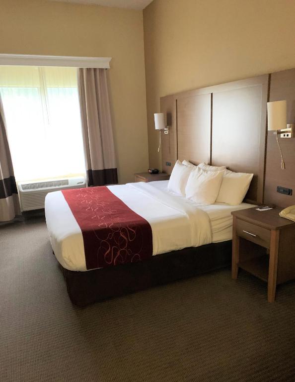 Comfort Suites Bush Intercontinental Airport - Suite Royale