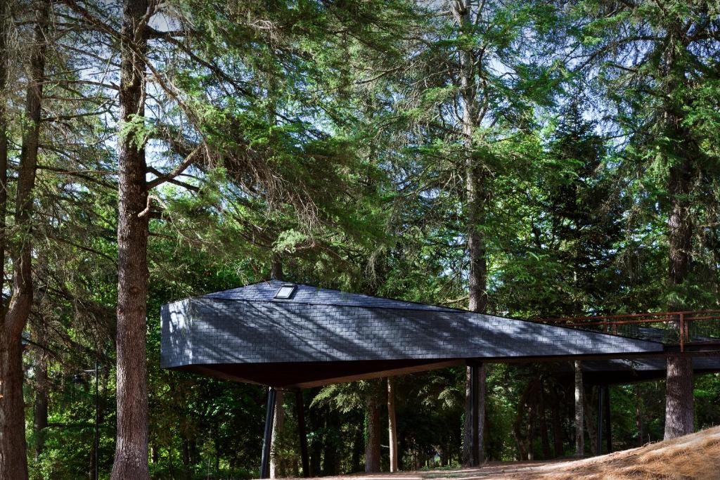 Pedras Salgadas Spa & Nature Park - Housity