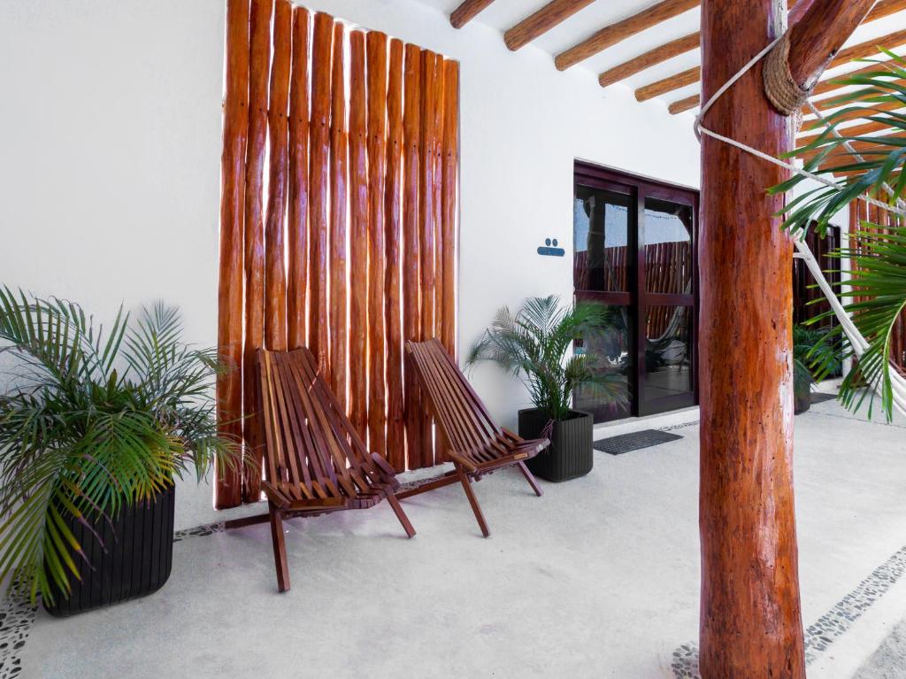Fotografie z fotogalerie ubytování Mis Sueños Holbox v destinaci Ostrov Holbox