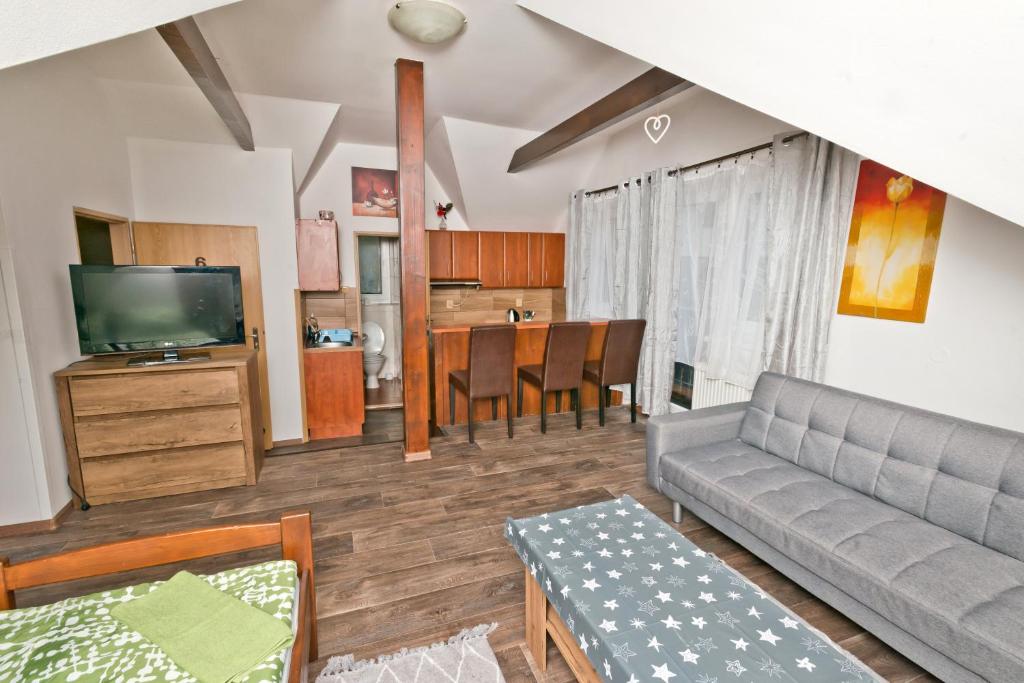 澤勒茲納·魯達的住宿－Penzion pod svahem，带沙发和电视的客厅