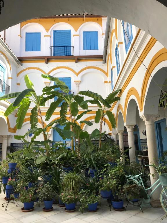 Vonkajšia záhrada v ubytovaní La Casa en el Centro