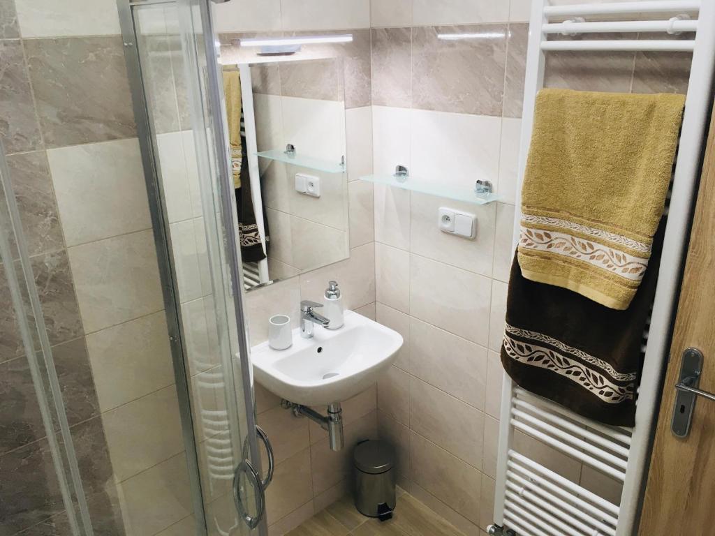 Koupelna v ubytování Apartmány Rychtaříkovi