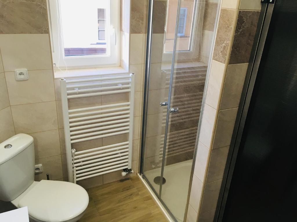 Koupelna v ubytování Apartmány Rychtaříkovi