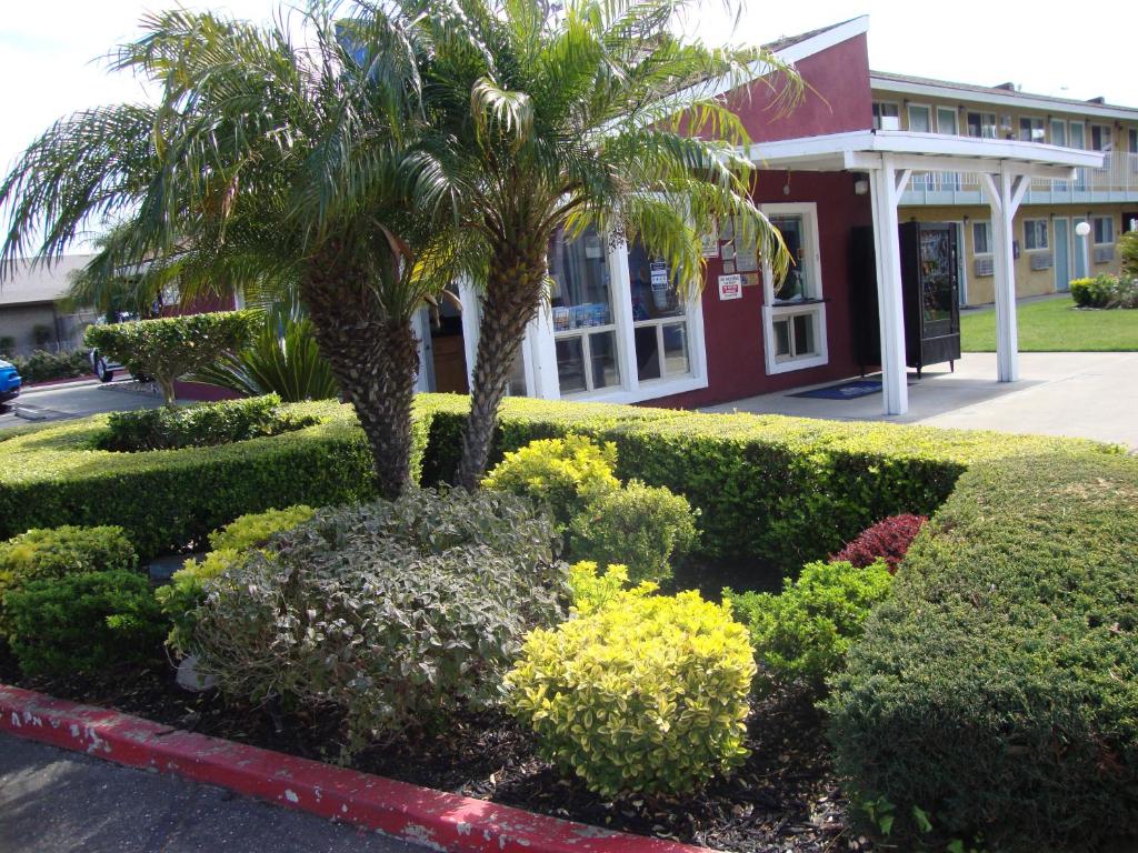 Oasis Inn Sacramento- Elk Grove photo