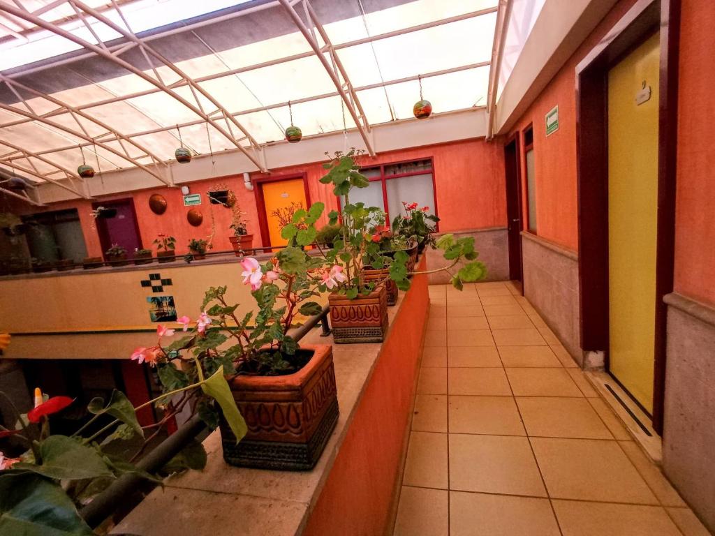 Fotografie z fotogalerie ubytování Hotel Posada Santo Niño v destinaci Tacámbaro de Codallos
