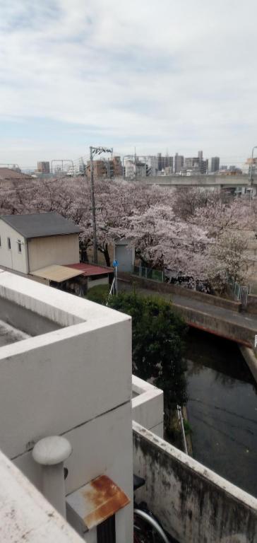 uma vista da cidade a partir da varanda de um edifício em Cherry Blossom Koseicho em Okayama