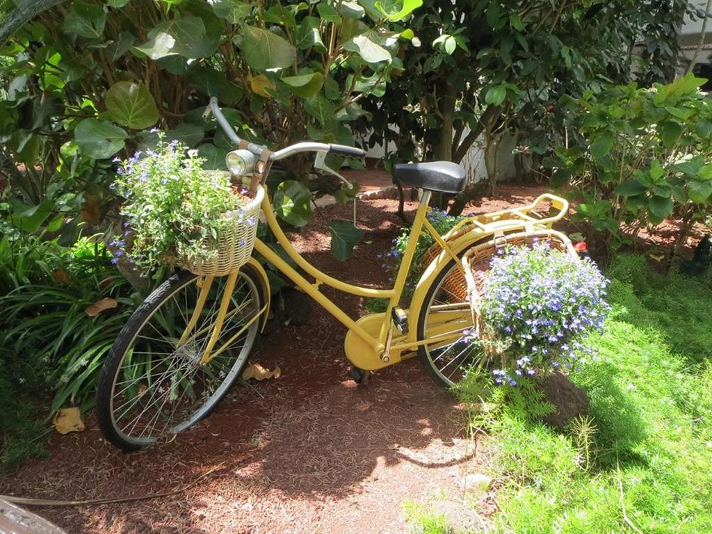 Vonkajšia záhrada v ubytovaní Hotel Parque Tropical