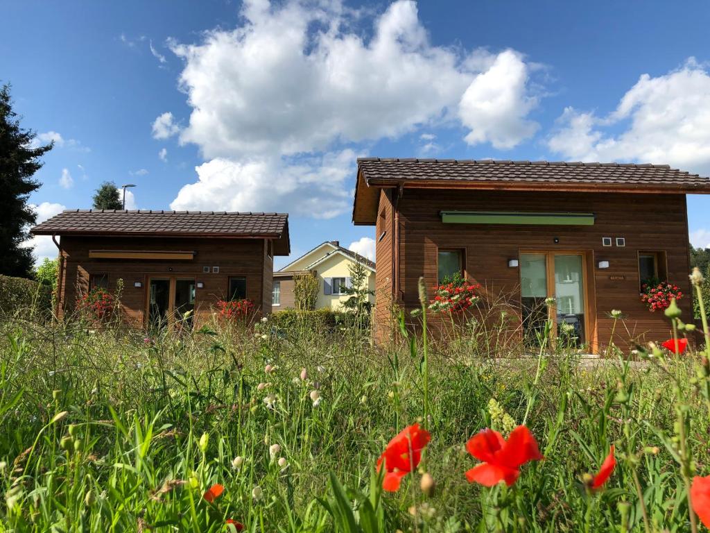 una casa en medio de un campo de flores en Fiechtehüsli (tiny house), en Huttwil