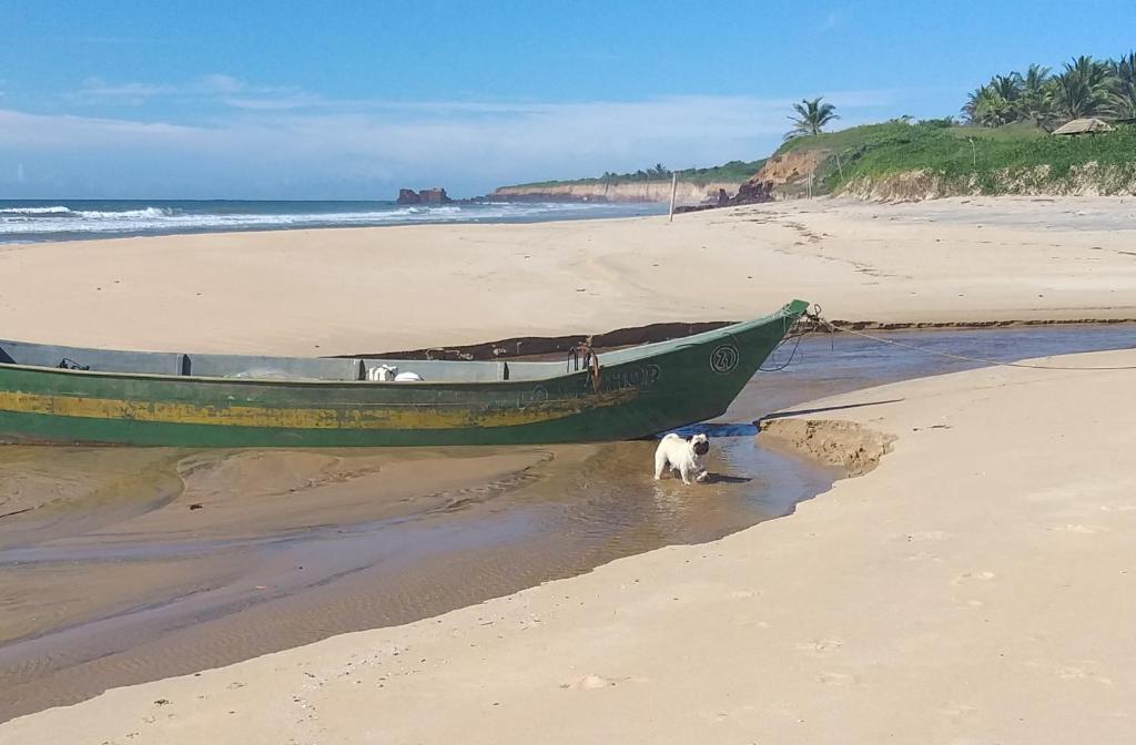 a dog standing next to a boat on the beach at Casa na Praia com Piscina in Costa Dourada