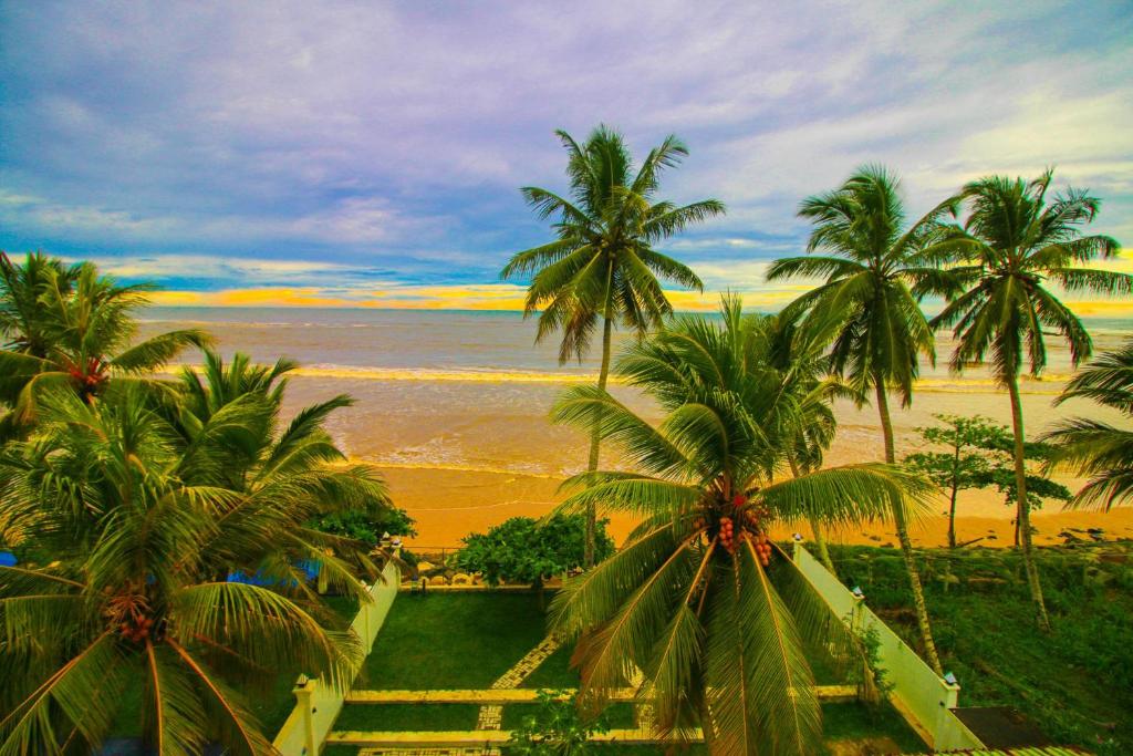 Onaro Beach View في ماتارا: اطلالة على شاطئ به نخل والمحيط