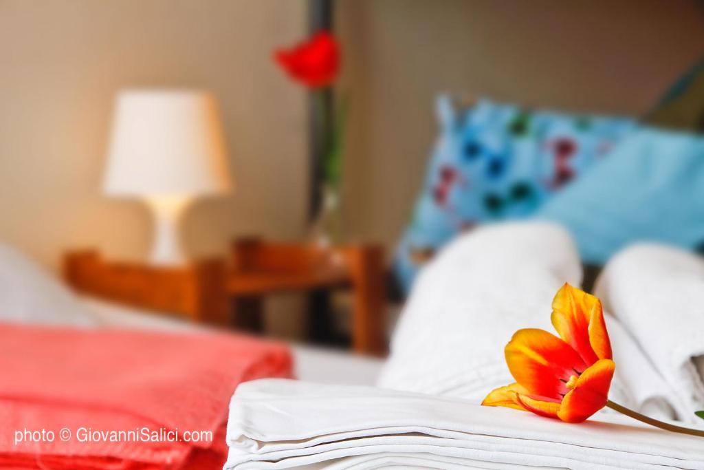 un fiore rosso seduto sopra un letto di Lake Como Peace Lodge - Casa della Pace a Menaggio