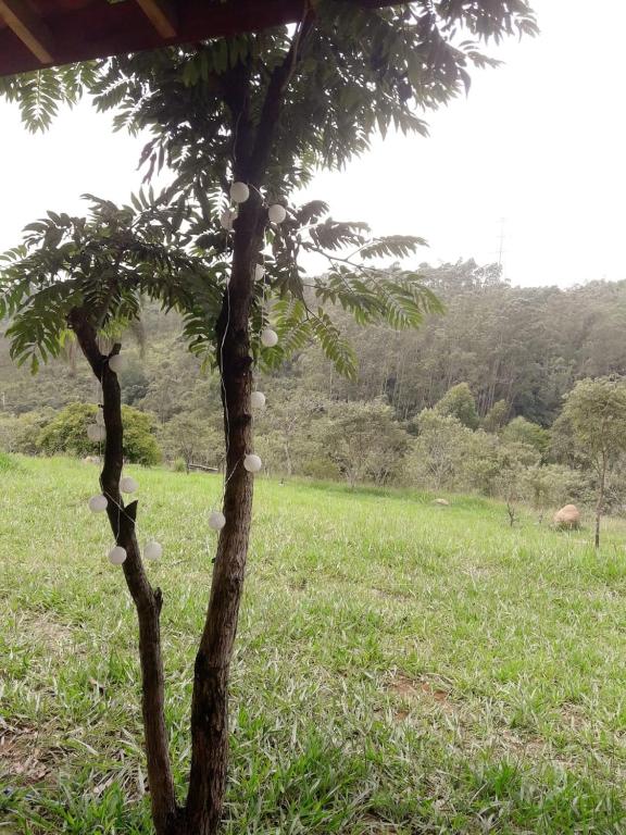  Camping - Colinas do Itapety