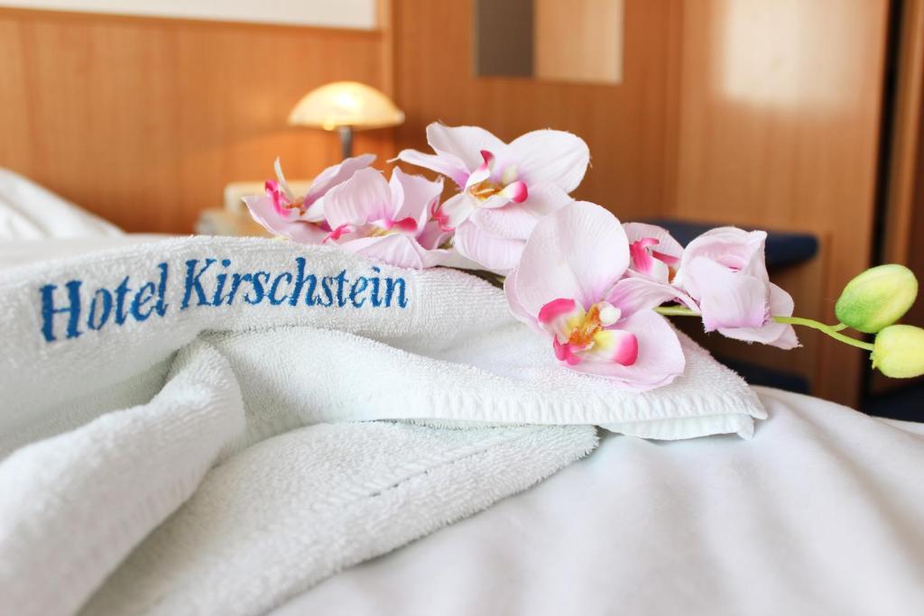 Hotel Pension Kirschstein - Habitación Individual