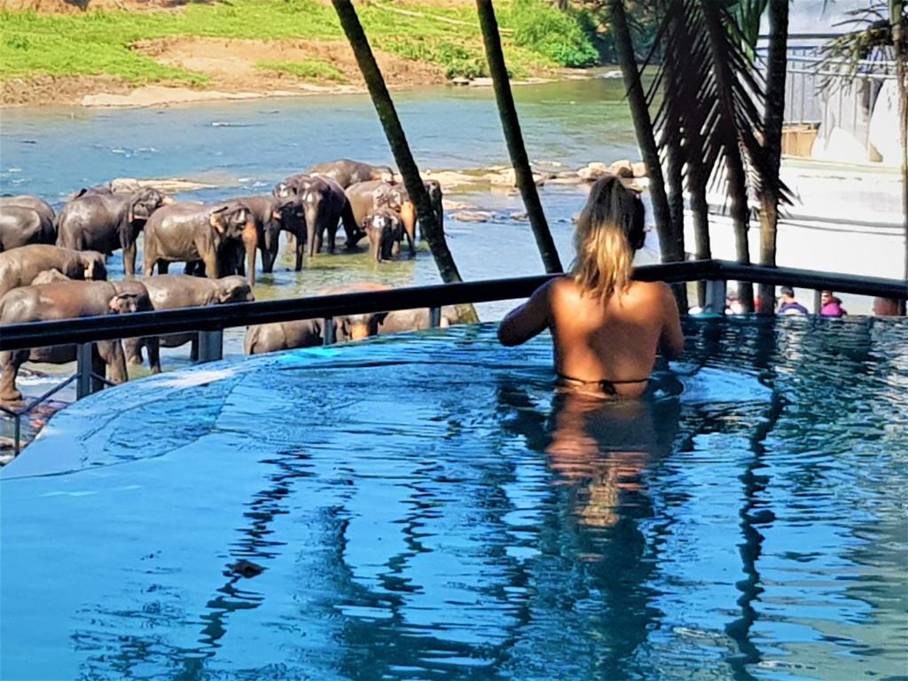 a woman in a hot tub looking at a herd of elephants at Hotel Elephant Park "Grand Royal Pinnalanda" in Pinnawala