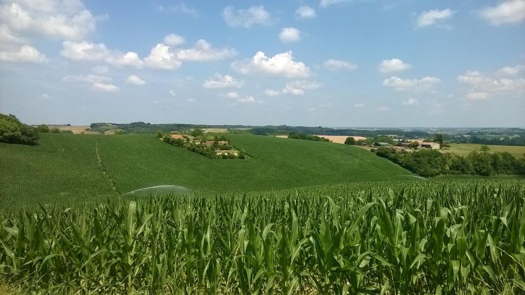 a green field with a farm in the distance at La Sérénité in Auriac-de-Bourzac