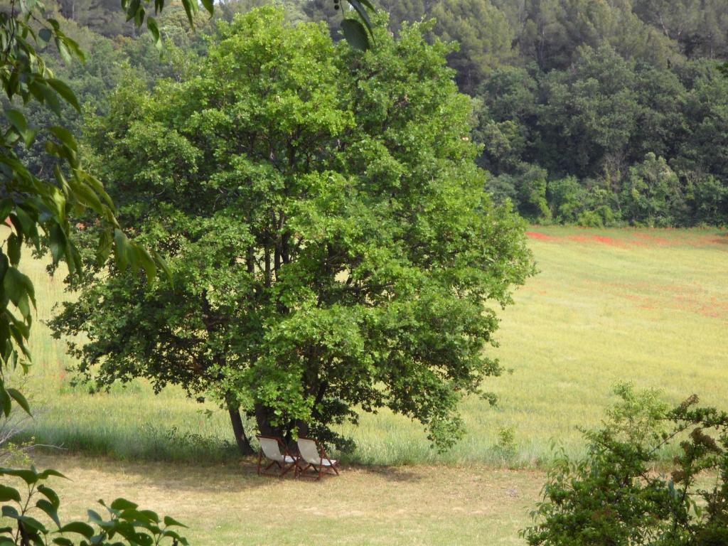 Příroda nedaleko bed and breakfast
