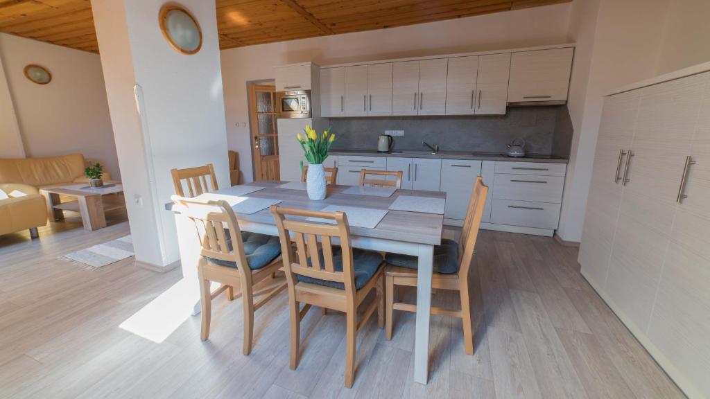Majoituspaikan Apartmány U Sjezdovky keittiö tai keittotila