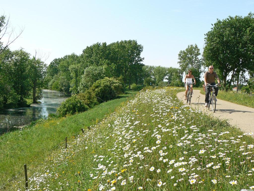 Hosté ubytování Camping De Binnenvaart Superior Chalet