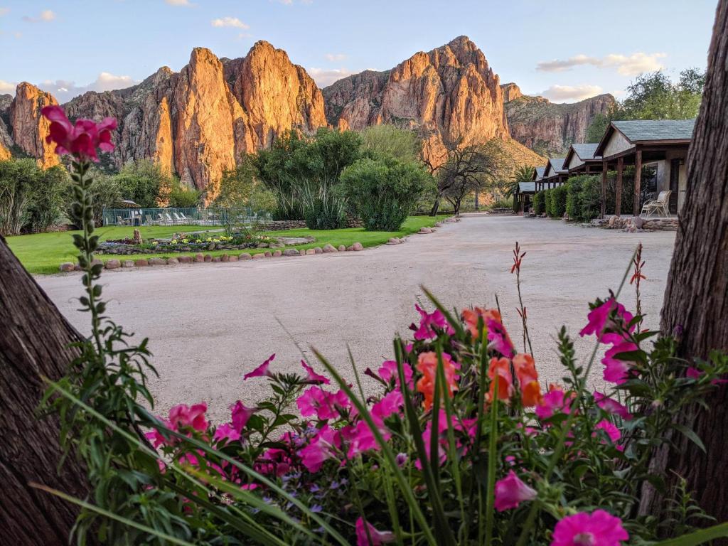 uma vista para uma estrada com montanhas ao fundo em Saguaro Lake Ranch em Fountain Hills