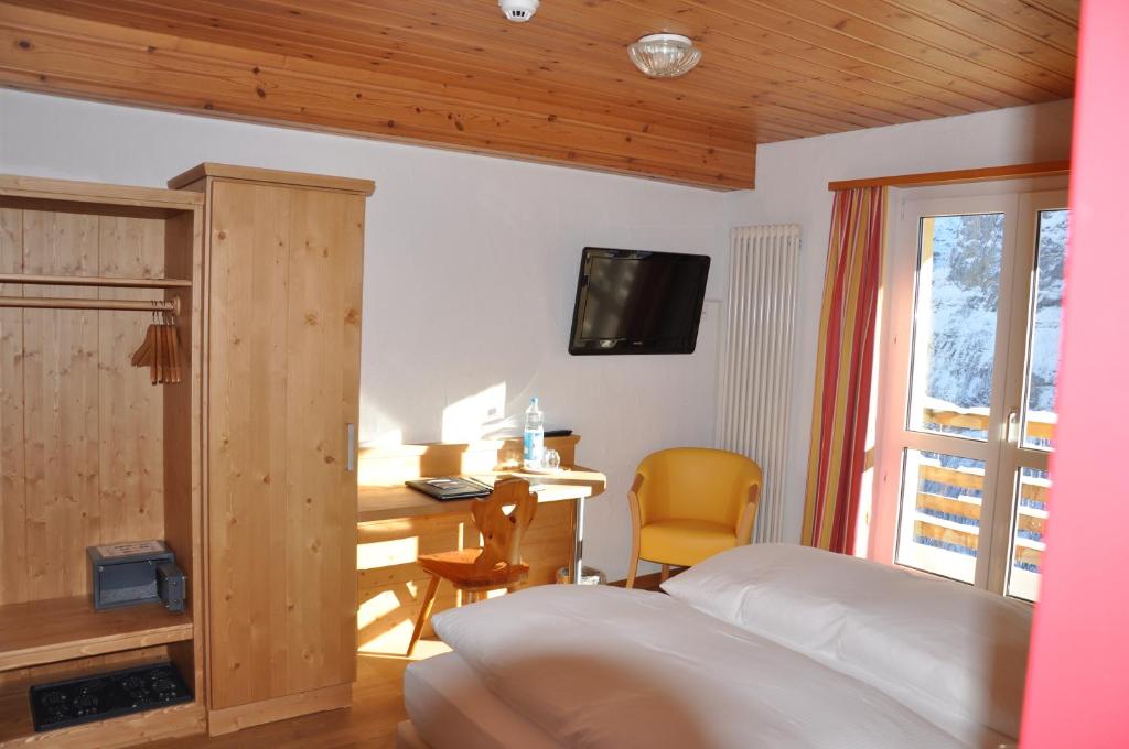 TV a/nebo společenská místnost v ubytování Hotel Edelweiss Superior
