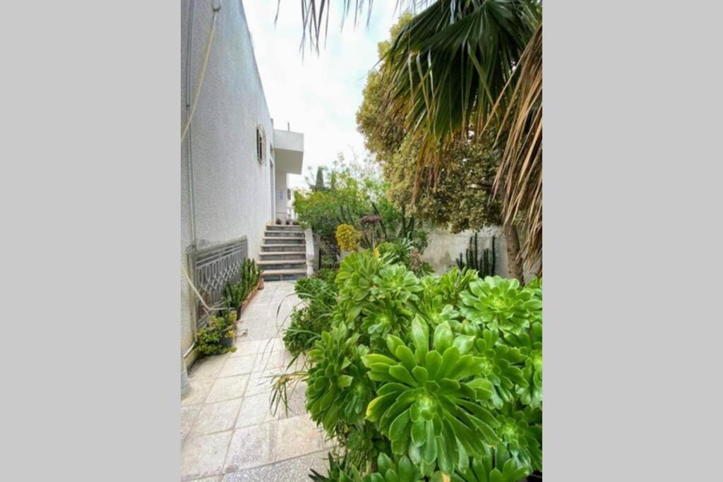 a garden with green plants next to a building at Cosy 2 pièces charmant et spacieux in Tunis