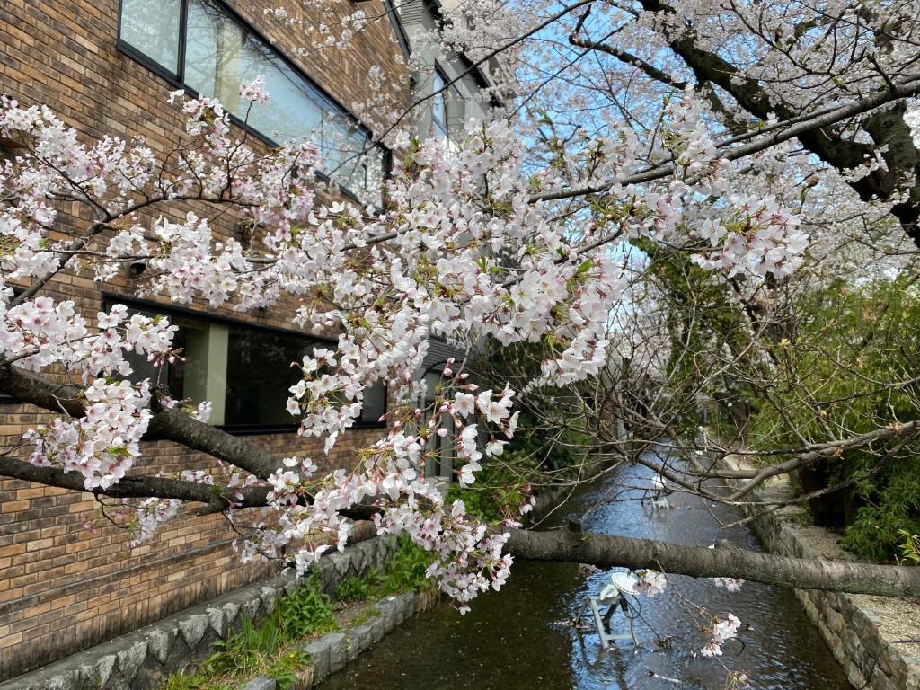 Rinn Shijo Takase River North Kyoto Updated 21 Prices Rinn Shijo Takase River North Kyoto Updated 21 Prices