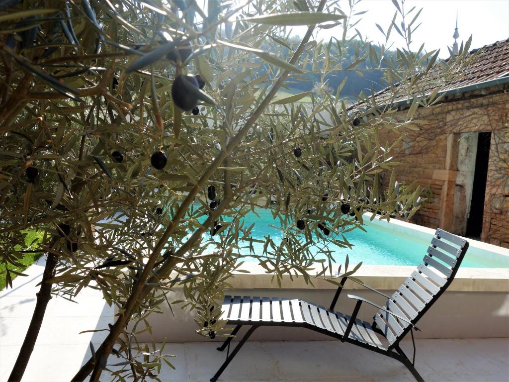 une plante à côté d'une chaise à côté d'une piscine dans l'établissement La petite madeleine - Chambre d'hôtes & spa, à Burgy