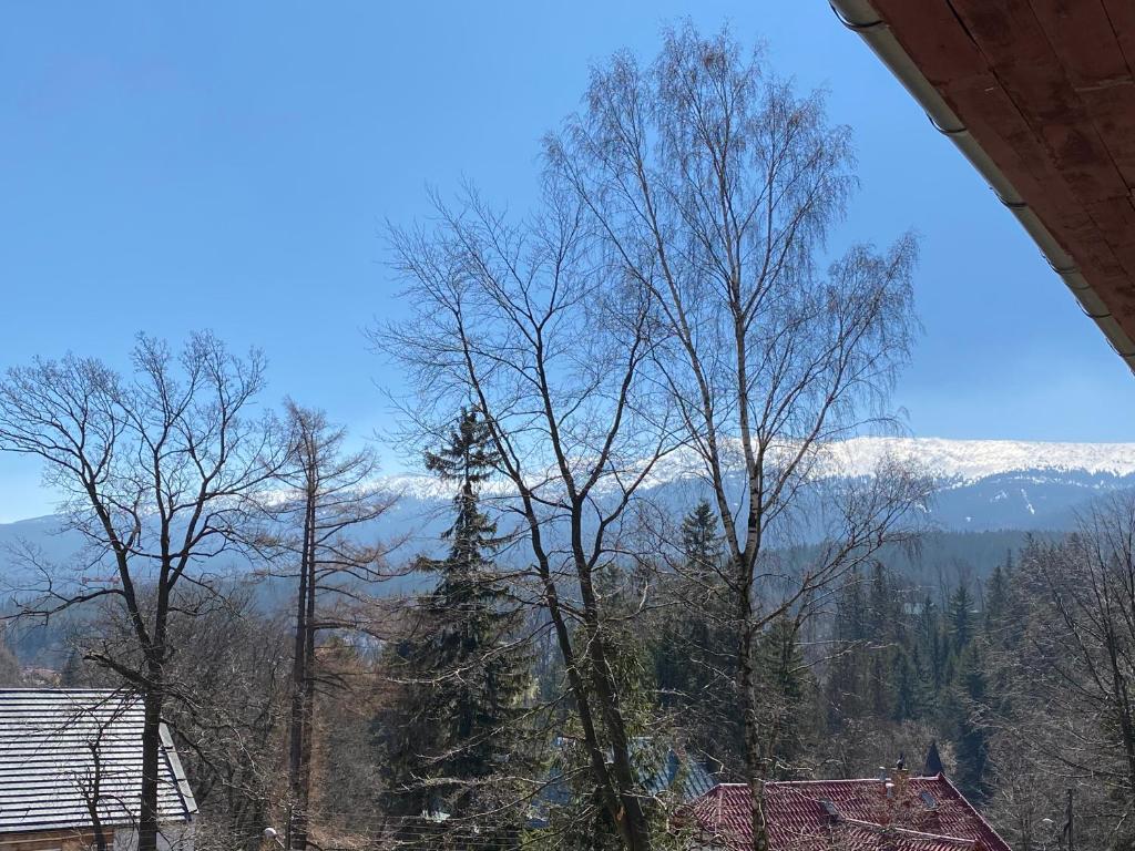 Nespecifikovaný výhled na hory nebo výhled na hory při pohledu z aparthotelu