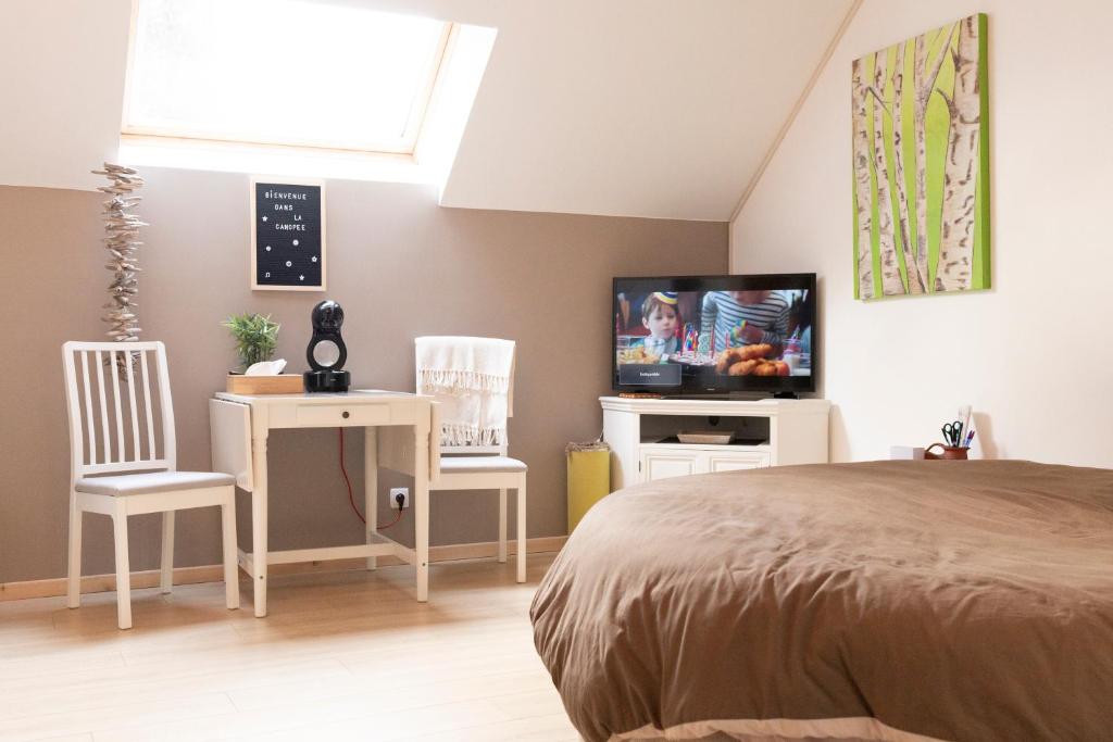 een slaapkamer met een bed en twee stoelen en een televisie bij Chambres privées chez le particulier aéroport Lille Lesquin in Lesquin