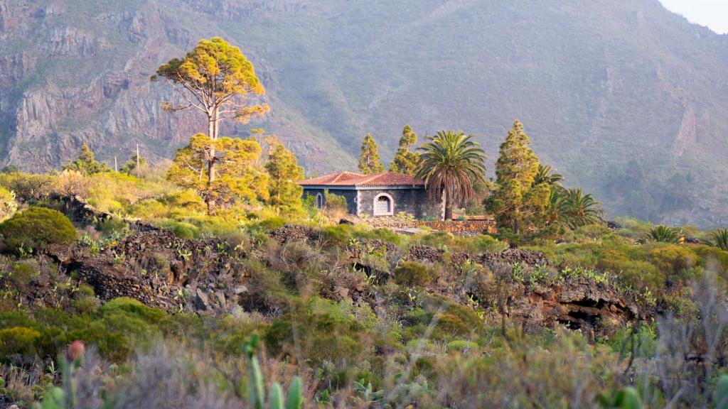 Luxury villa in Nature with Swimming pool Tenerife, Santiago del Teide, with sea and mountain views في El Retamar: منزل صغير على تل مع جبل