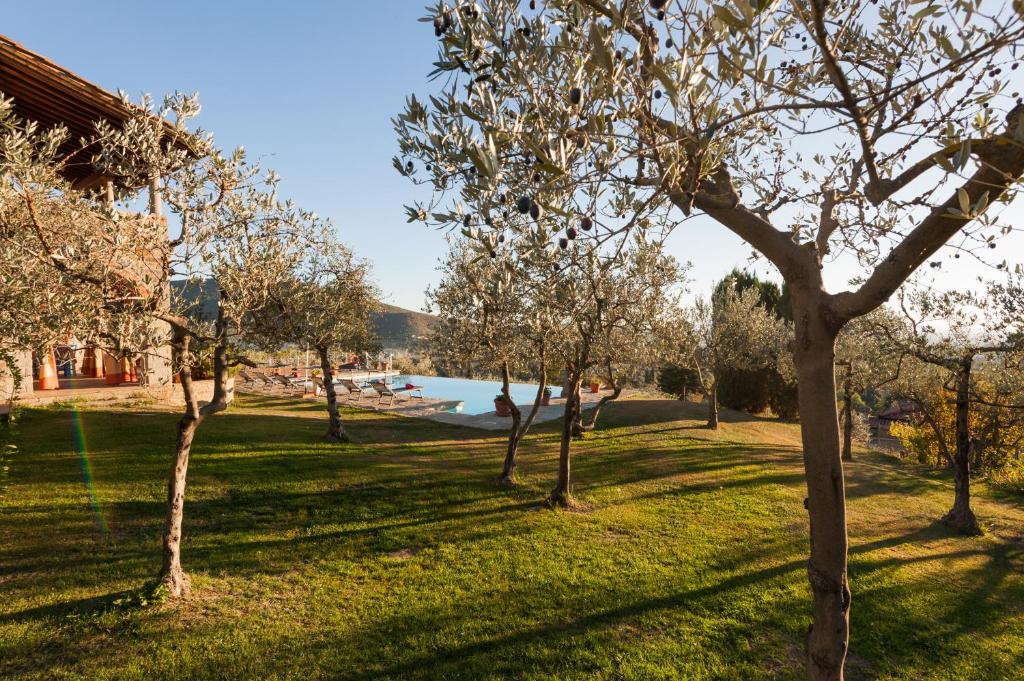 Vonkajšia záhrada v ubytovaní Villa Senaia