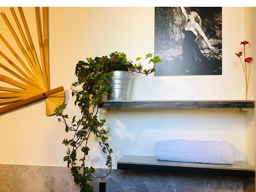 Fotografie z fotogalerie ubytování B&B La Volpina v Rimini