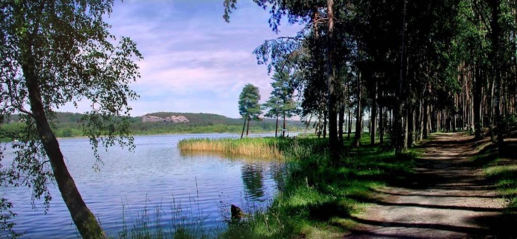 Fotografie z fotogalerie ubytování Wellness villa BRANZEZ v Branžeži