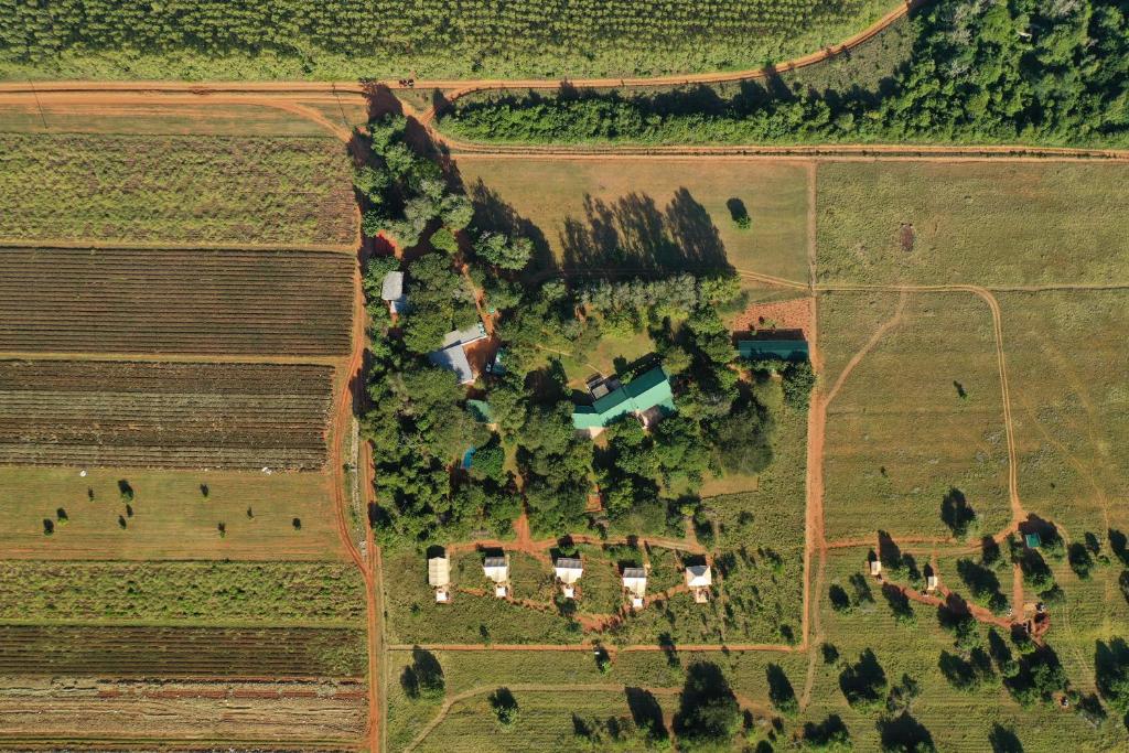 an overhead view of a field with trees and houses at Hluhluwe Bush Camp in Hluhluwe