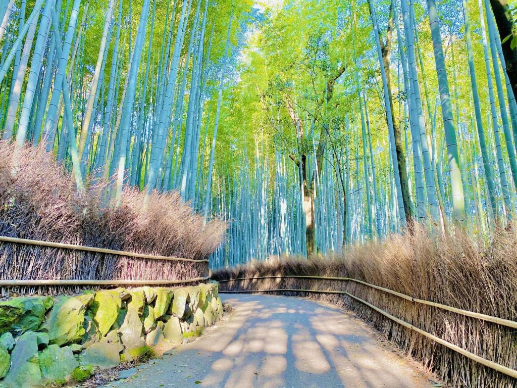 una carretera en un bosque de bambú con un puente en Sun Members Kyoto Saga, en Kioto