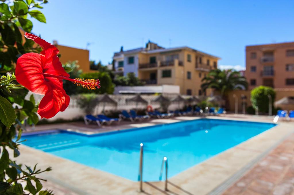 Bazén v ubytovaní Apartamentos Embajador alebo v jeho blízkosti
