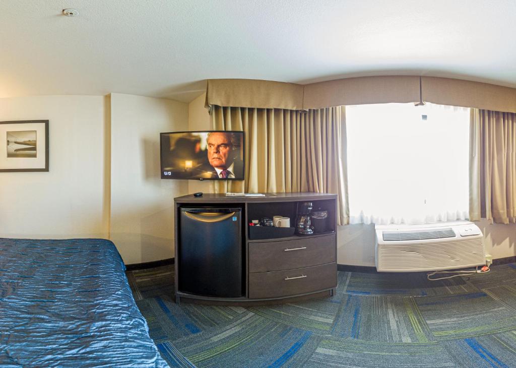 Buena Vista Motor Inn photo